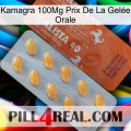 Kamagra 100Mg Prix De La Gelée Orale 43
